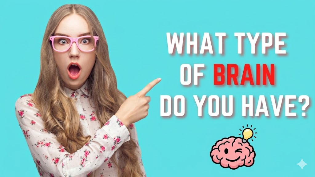 What Type of Brain Do You Have? - Personality Test